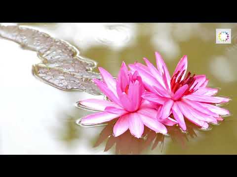 Beautiful Music with Soothing Water Sounds for Meditation, Sleep, Stress Relief, Yoga or Relaxation.