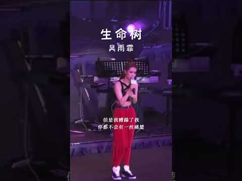 #经典粤语歌曲 #生命树