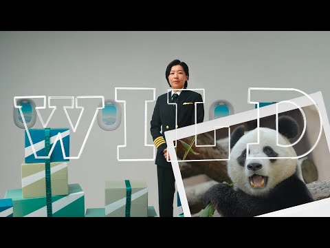 A “Wild” Cathay Cargo Story: Giant Pandas Inbound! 國泰貨運呈獻：大熊貓飛行故事