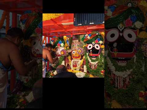 Shree Jagannath puri rath yatra #jagannath #jaganathpuri #jagannathbhajan #krishna  #jagannathyatra