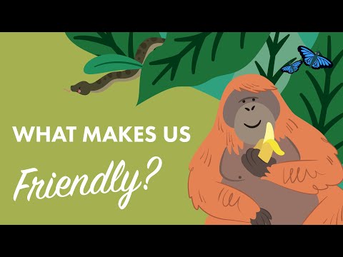 What makes us Friendly?