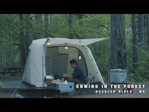 Quiet Camping in the Woods | Peaceful Nature Escape