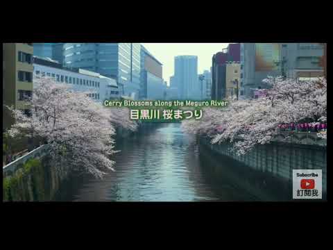 2022日本東京賞櫻景點推介！必去目黑川、千鳥之淵、上野恩賜公園櫻花名所！| 千葉Kenny