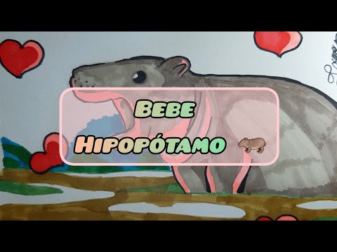 Dibujé al Adorable Hipopótamo Bebé 🦛