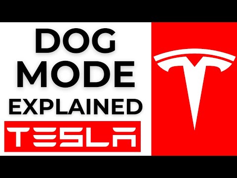 What Does Tesla Dog Mode Do - 2025