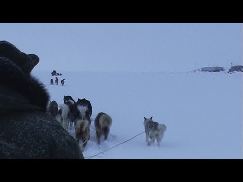 Arrival to Qikiqtarjuaq by dogsled - Nanoq 2007 expedition