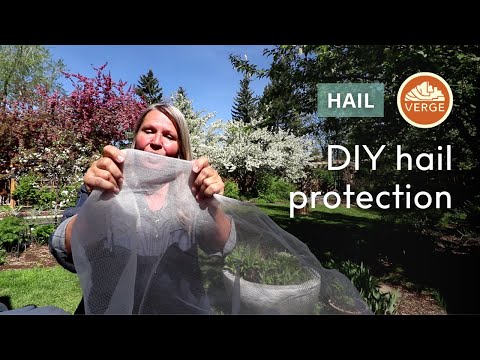 DIY Hail Protection Strategies and Structures for your Home Garden | Verge x Urban Farm School