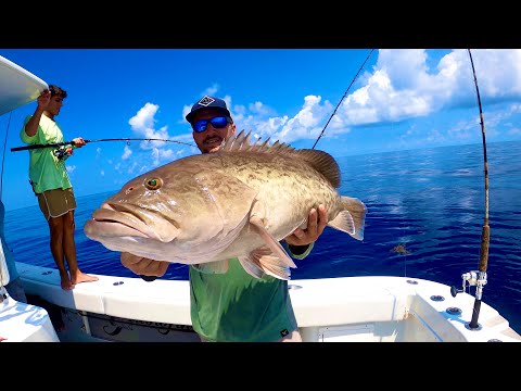 WE WON 2ND PLACE! GROUPER SNAPPER TOURNAMENT!! ALMOST DISQUALIFIED