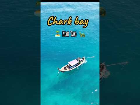 🦈charkbay เกาะเต่า 🏝️🐢#เกาะเต่า