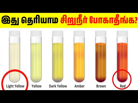 உங்க Urine Colour எப்படி இருக்கு❓| What your urine says about your health?