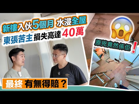 新樓入伙半年水浸全屋😨東張苦主損失40萬😨發展商執修期已過🤔最終有冇賠償❓黑糯米調查報道 x OneDegree 中文字幕