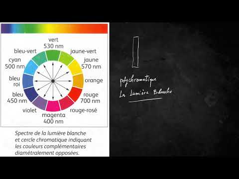 Première générale physique chimie Absorbance d'une solution colorée