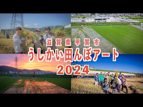 滋賀県甲賀市　うしかい田んぼアート2024