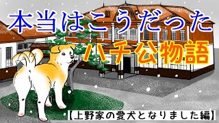 秋田犬ハチ公の一生を漫画で忠実に再現しました。【上野家の愛犬となりました編】