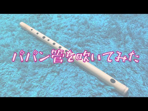 【テルーの唄】パパン管を吹いてみた / 篠笛奏者 片野 聡