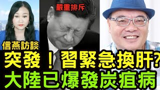 沈四海：突發！傳習近平緊急換肝？嚴重排斥反應？香港人小心！大陸已爆發炭疽病；江旻憓突然宣布退役為哪般？網號網證監視 彭立發第二作反 #信燕訪談 #沈四海 #習近平 #炭疽病 #江旻憓 20240804