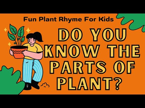 🌱 Do You Know the Parts of a Plant? | Fun and Educational Plant Rhyme for Kids 🌿