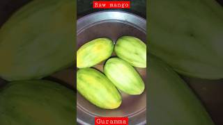 gurramma #shorts #rawmangorecipes #kachaaam  #rawmango  #rawmangocurry