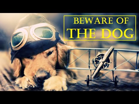 Learn English Through Story : Beware of the Dog  (level 6)