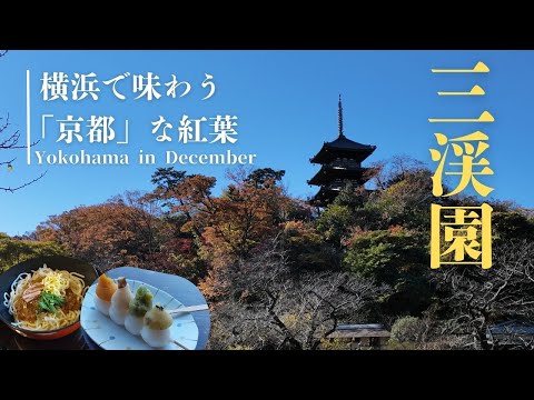 【横浜紅葉スポット】見頃を迎えた三渓園で楽しむ「まるで京都！」な紅葉