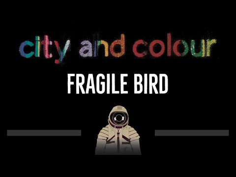 City And Colour • Fragile Bird (CC) 🎤 [Karaoke] [Instrumental Lyrics]