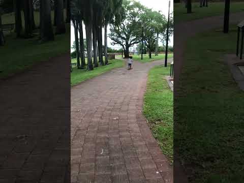 Kid riding scooter in the park