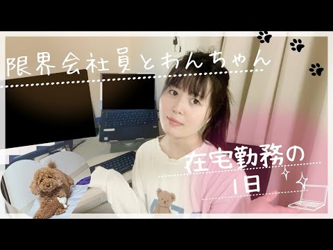 【vlog】限界IT会社員&犬のリモートワークの1日