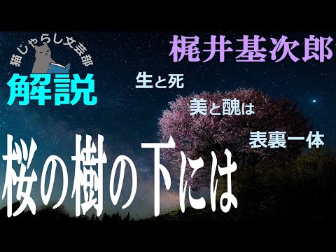 梶井基次郎『桜の樹の下には』解説｜絶対の美しさと死は表裏一体