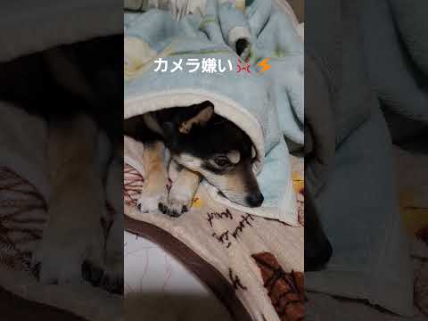 カメラに不満😡