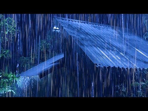 すぐに眠るために必要なことはすべて - 大雨、夜に軋むトタン屋根で激しい雷の音