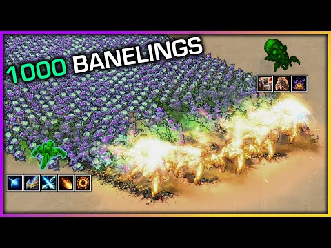 Can 1000 Banelings bust 5 Fenixes?【Daily StarCraft Brawl】