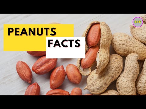 Peanuts Facts #shorts #healthyfood #peanutbutter #chocolate #food #foodie #healthy #health #foodporn