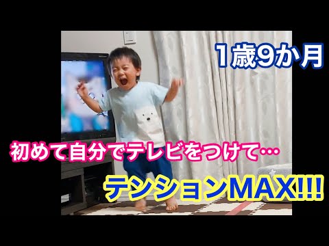 テレビをつけて…喜びのあまり踊りだす１歳９か月男の子#shorts