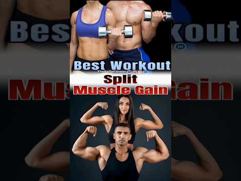 Best Workout Split Muscle Gain | #workoutsplit | #musclegain | #thepairafitness | #video | #shorts