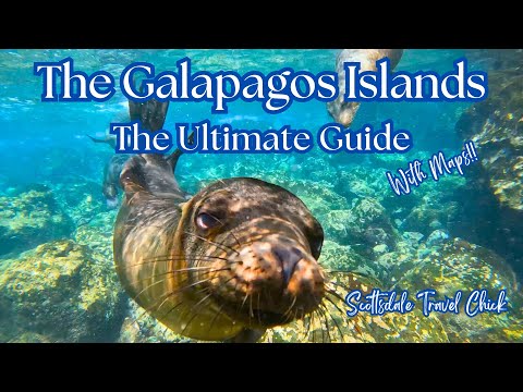 Galapagos - The Ultimate Guide - Everything You Need to Know About Booking a Trip & More