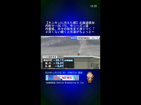 【キンキンに冷えた朝】北海道幌加内町で－26.1℃、今シーズン道内最低、木々の枝先まで凍りつく「２日くらい続くと水道がちょっと心配」 #Shorts