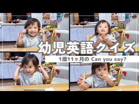 1歳11ヵ月の次女が英語クイズに挑戦！可愛さ満点の学びタイム