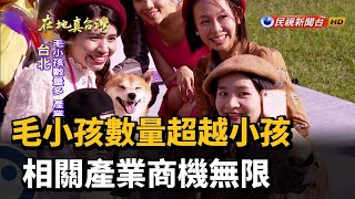 毛小孩數量超越小孩 相關產業商機無限－民視新聞