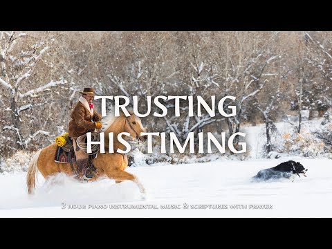 Trusting His Timing : Instrumental Worship , Scriptures With Animal Winter ❄ Christian Instrumental