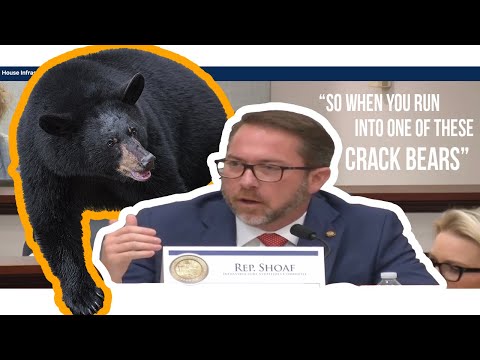 Florida Rep Cites ‘Crack Bears’ in Testimony About New Self-Defense Bill