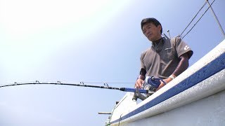 #336 アラの最盛期に沸く平戸の海～泳がせ釣りで幻の巨大魚に挑む～