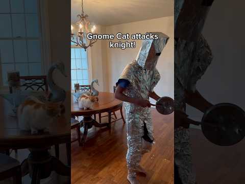 Gnome cat attacks Knight! Gnomes vs Knights! #gnome #gnomes #knight #trending #funny