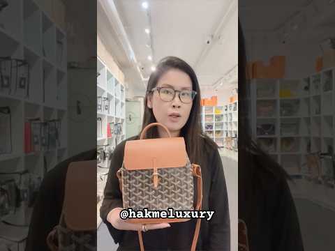 3個孭法 Goyard Alpin Mini 一年後收到呢個色