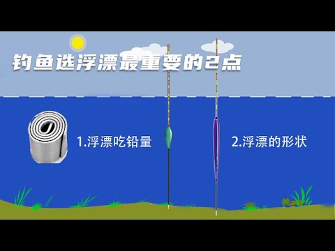 新手钓鱼浮漂选择最重要的2点就是吃铅量和漂型，选对了事半功倍