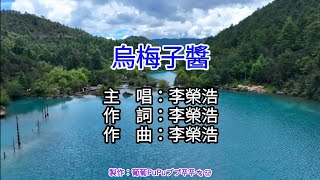 【♪KTV 左伴右唱 導唱字幕 動態歌詞 カラオケ 노래방】烏梅子醬-李榮浩