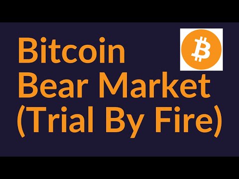 Bitcoin Bear Market (Trial By Fire)