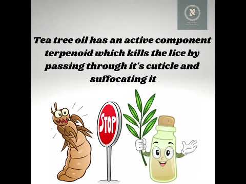 Benefits of teatree oil#naturopathy #naturalmedicine #yoga #lice#naturalhometreatment