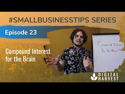 Compound Interest for the Brain | Episode 23 #SmallBusinessTips Series