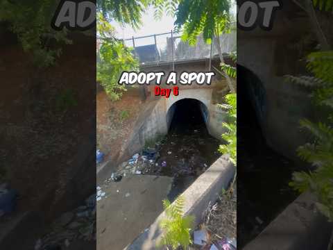 Adopt A Spot Day 6 | Before & After Waterway Cleanup