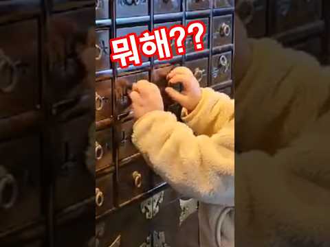 잘 찾아봐야지 과자 있나 !? #아기 일상 #아기 #shorts #한식당  #과자  #캐나다  #cute #baby #14개월아기